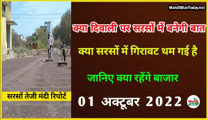 sarso teji mandi report