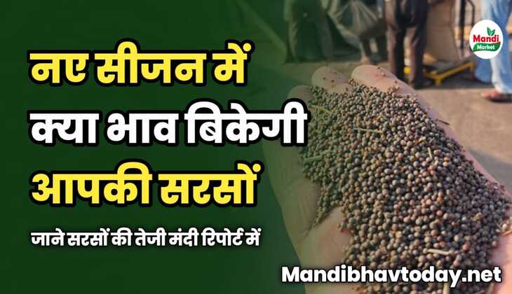 नए सीजन में क्या भाव बिकेगी आपकी सरसों | जाने सरसों की तेजी मंदी रिपोर्ट में