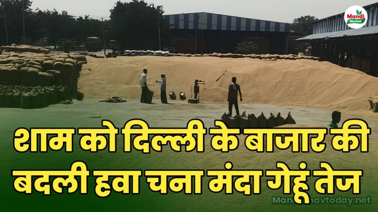DELHI RATE