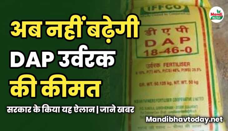 अब नहीं बढ़ेगी DAP की कीमत | सरकार के किया यह ऐलान | जाने खबर