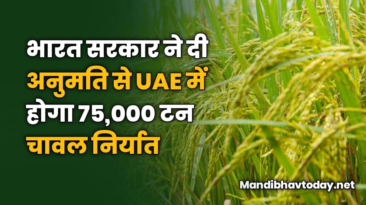 भारत सरकार ने दी अनुमति से UAE में होगा 75,000 टन चावल निर्यात