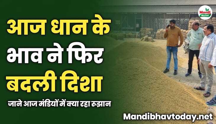 आज धान के भाव ने फिर बदली दिशा | जाने आज मंडियों में क्या रहा रूझान