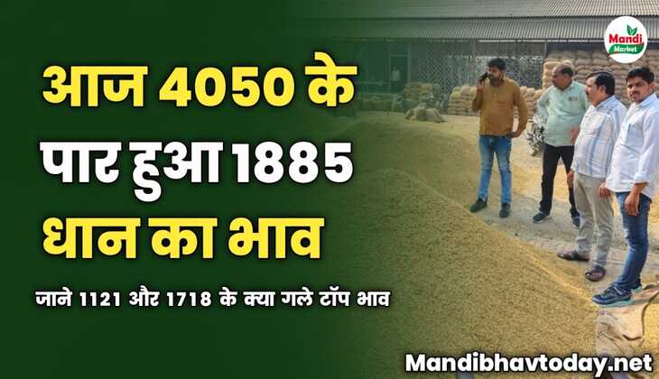 आज 4050 के पार हुआ 1885 धान का भाव | जाने 1121 और 1718 के क्या गले टॉप भाव 