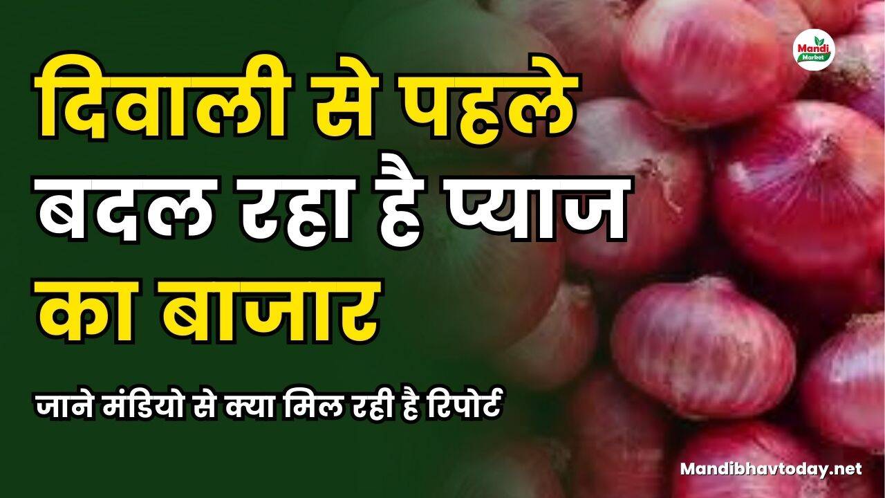 दिवाली से पहले बदल रहा है प्याज का बाजार | जाने मंडियो से क्या मिल रही है रिपोर्ट