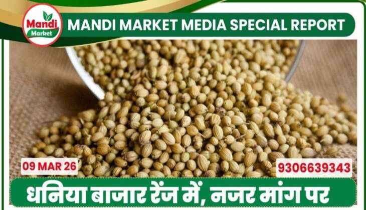 mandibhavtoday