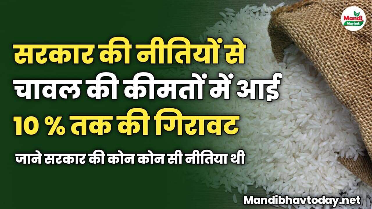 सरकार की नीतियों से चावल की कीमतों में आई 10 प्रतिशत तक की गिरावट | जाने सरकार की कोन कोन सी नीतिया थी