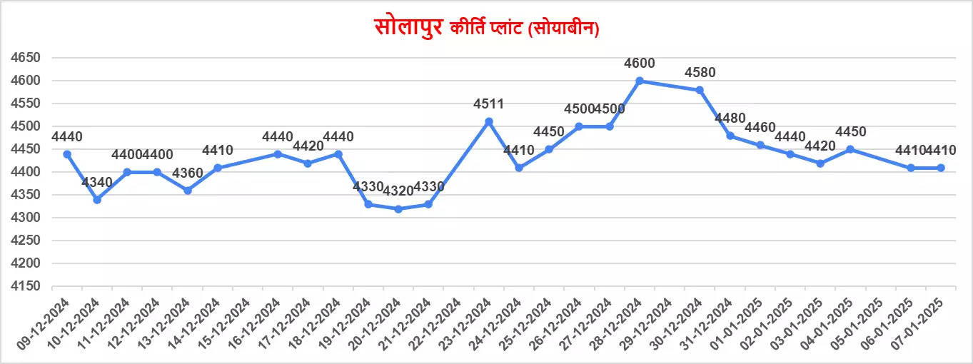 सोयाबीन 