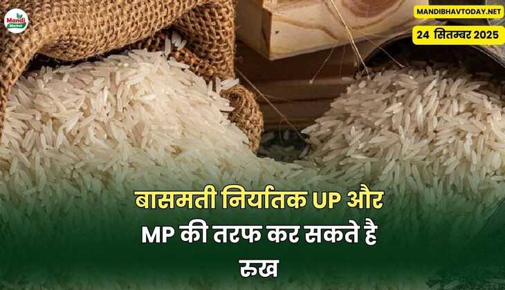 बासमती निर्यातक UP और MP की तरफ कर सकते है रुख