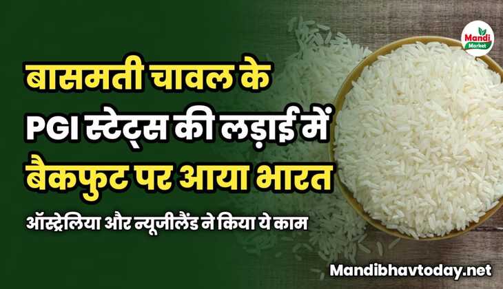 बासमती चावल के PGI स्टेट्स की लड़ाई में बैकफुट पर आया भारत | ऑस्ट्रेलिया और न्यूजीलैंड ने किया ये काम