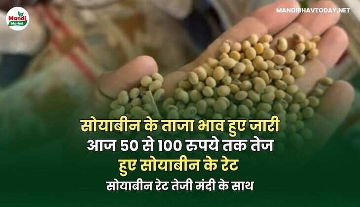 सोयाबीन images