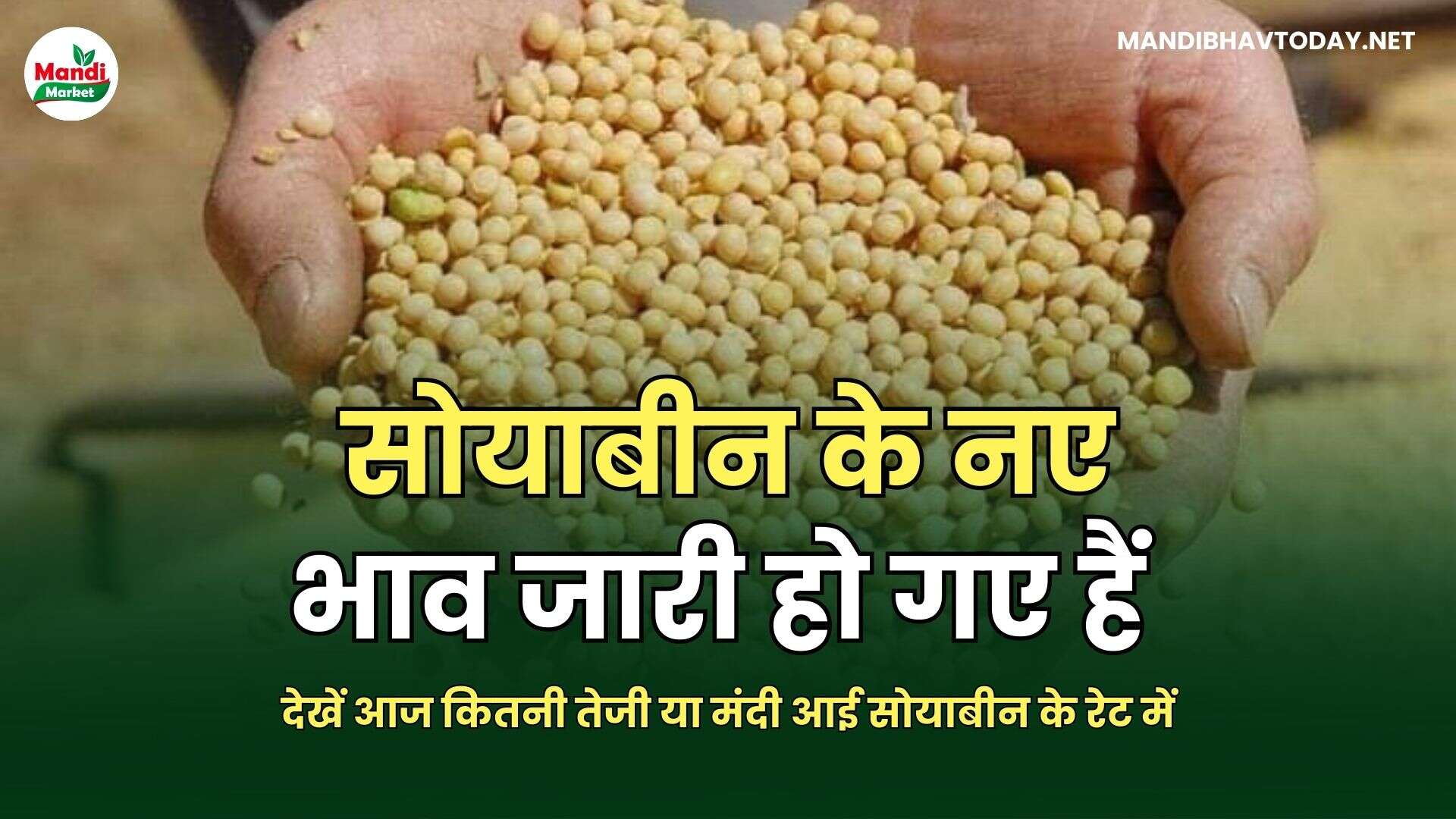 देखें आज कितनी तेजी या मंदी आई सोयाबीन के रेट में