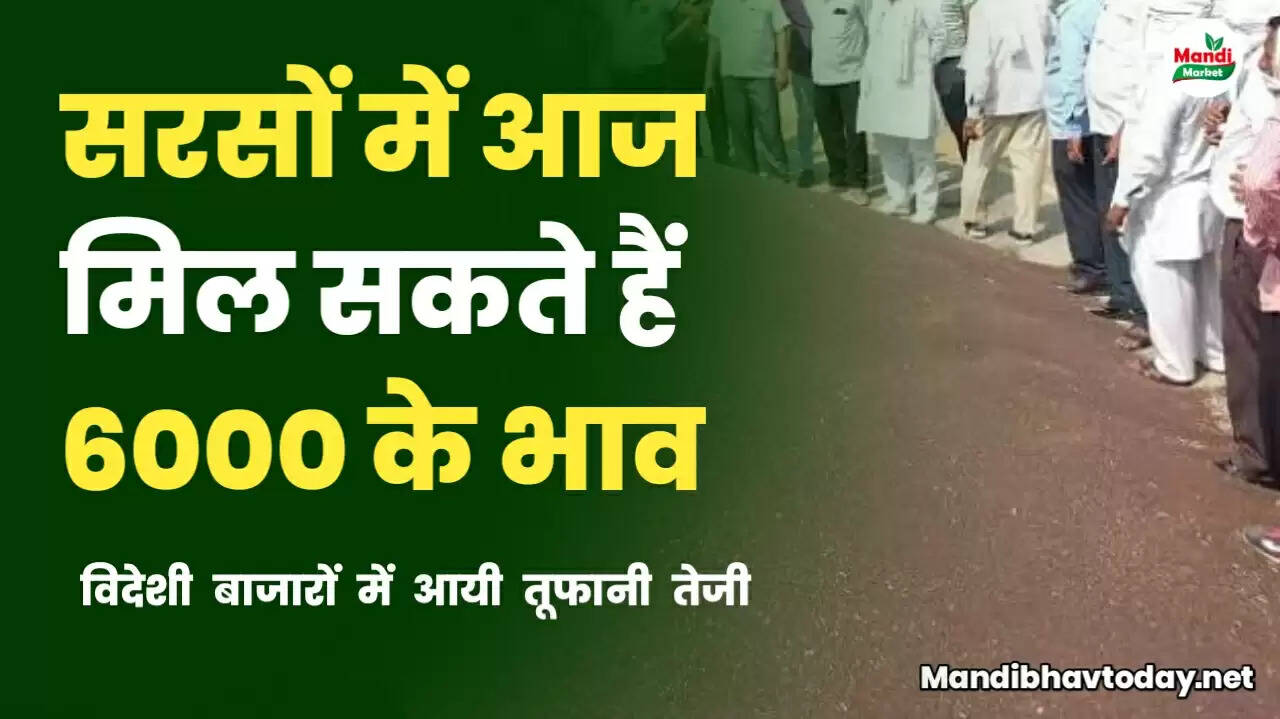 सरसों 6000 के पार