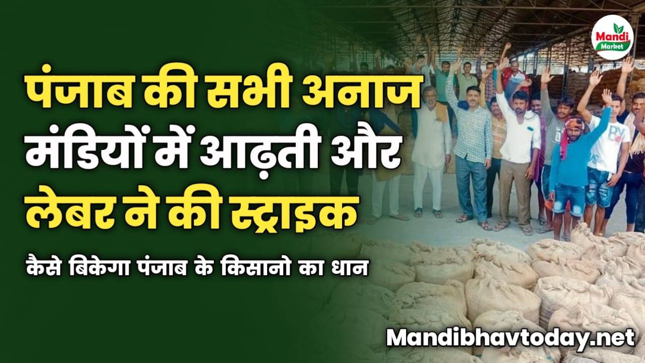 पंजाब की सभी मंडियों में आढ़तियों और लेबर ने की स्ट्राइक | कैसे बिकेगा पंजाब के किसानो का धान