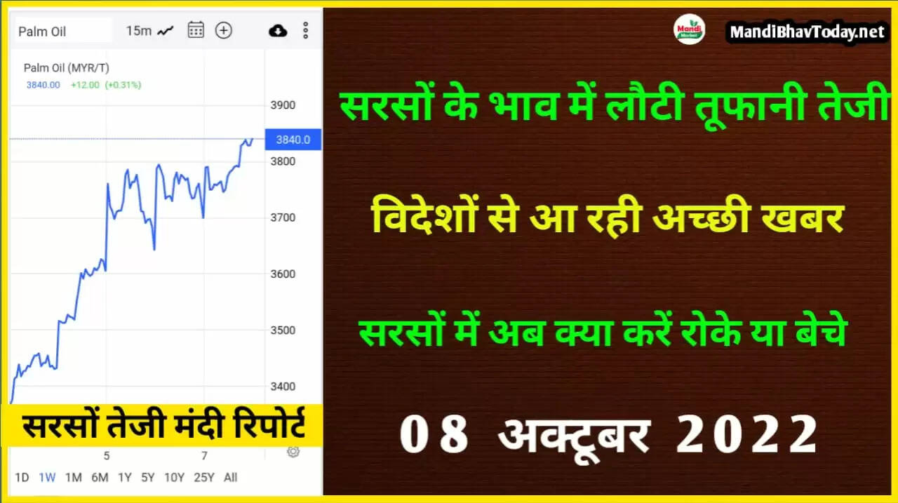 sarso teji mandi report