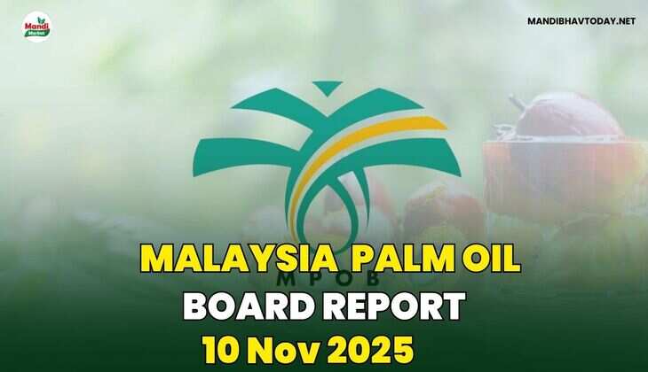 MALAYSIA  PALM OIL BOARD REPORT
