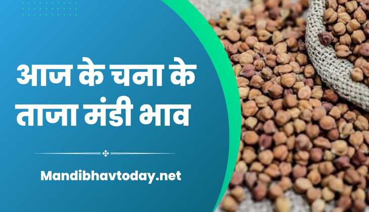 देखे आज के चना के ताजा मंडी भाव | chana ke mandi bhav 25 October 2024