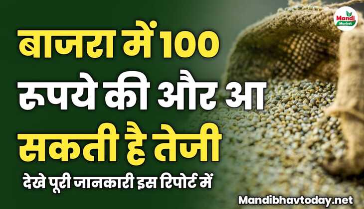 बाजरा में 100 रूपये की और आ सकती है तेजी | जाने पूरी जानकारी इस रिपोर्ट में 