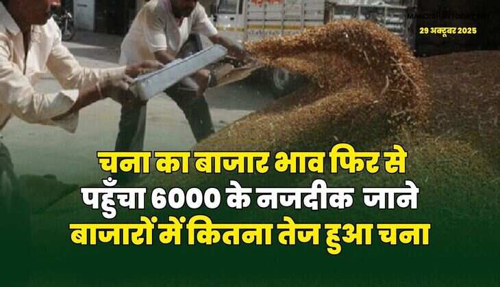 चना का बाजार भाव फिर से पहुँचा 6000 के नजदीक | जाने बाजारों में कितना तेज हुआ चना