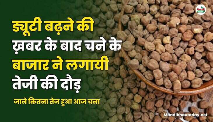 जाने कितना तेज हुआ आज चना