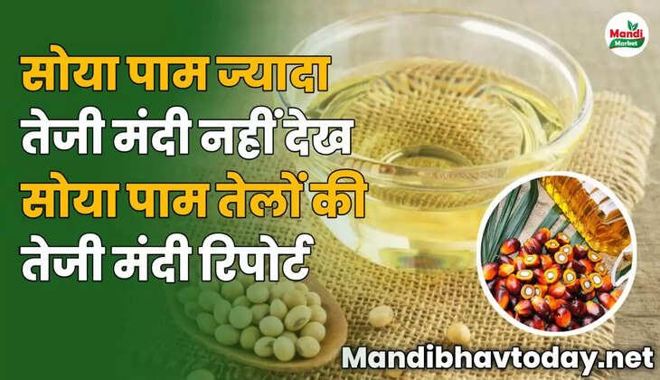 सोया पाम ज्यादा तेजी मंदी नहीं | देखे सोया पाम तेलों की तेजी मंदी रिपोर्ट 