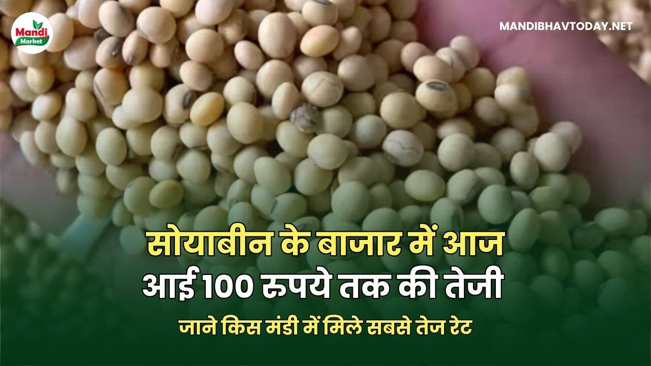 SOYABEANBHAV