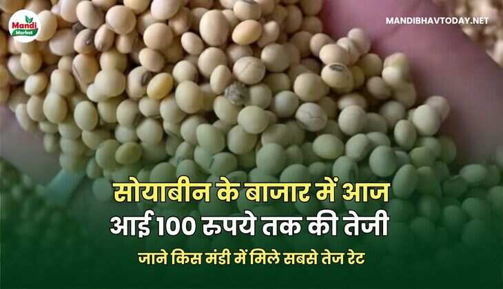 SOYABEANBHAV