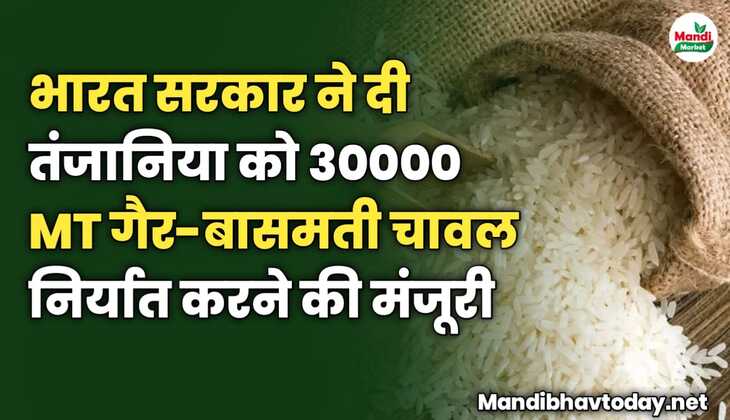 भारत सरकार ने दी तंजानिया को 30000 MT गैर-बासमती चावल निर्यात करने की मंजूरी | देखे पूरी जानकारी इस रिपोर्ट में  