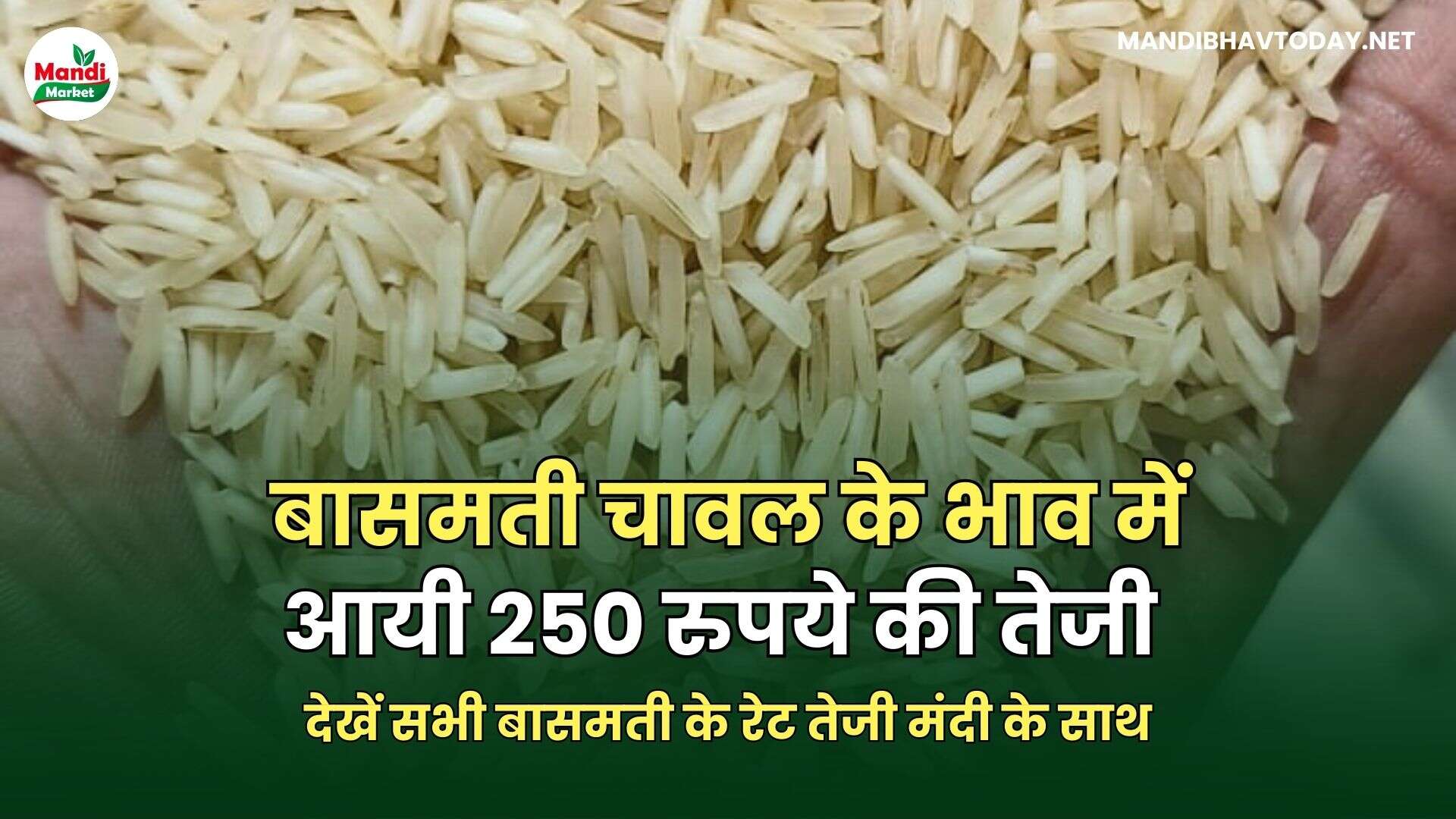 देखें सभी बासमती के रेट तेजी मंदी के साथ