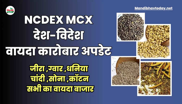 आज ग्वारसीड , ग्वारगम , केस्टर तेज में तेजी | देखें देश-विदेश की वायदा कारोबार की अपडेट 16 जून 2023 