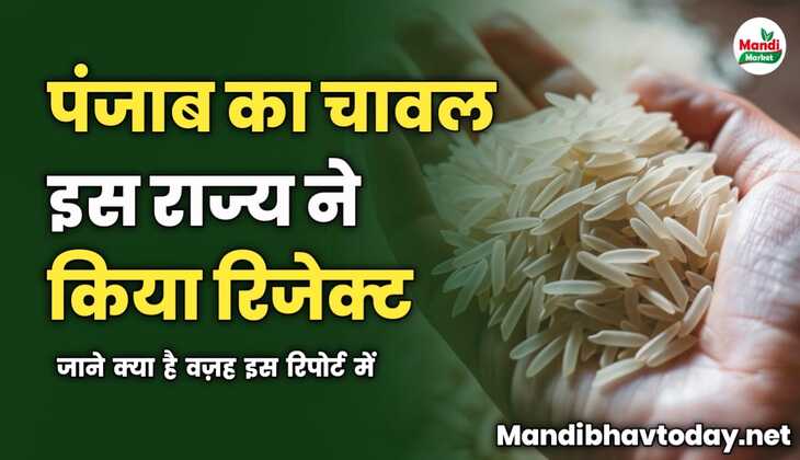 पंजाब का चावल इस राज्य ने किया रिजेक्ट | जाने क्या है वज़ह