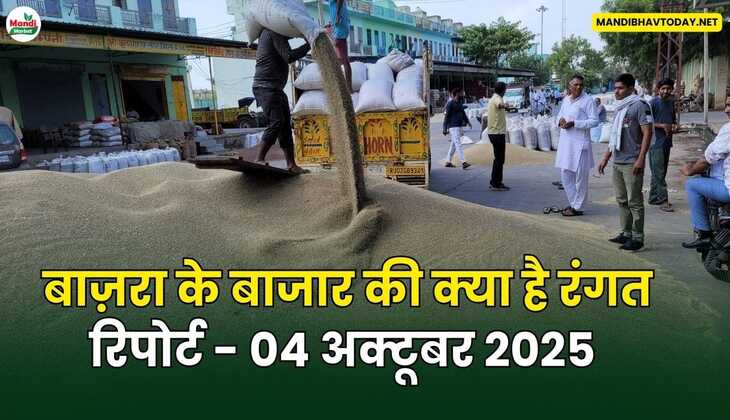 बाज़रा के बाजार की क्या है रंगत  रिपोर्ट - 04 अक्टूबर 2025