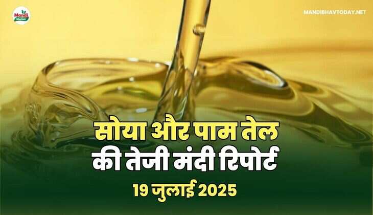 सोया और पाम तेल की तेजी मंदी रिपोर्ट 19 जुलाई 25 