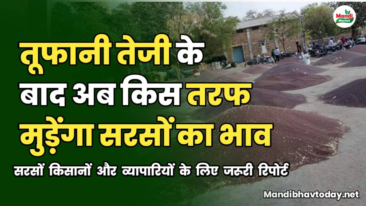 मस्टर्ड
