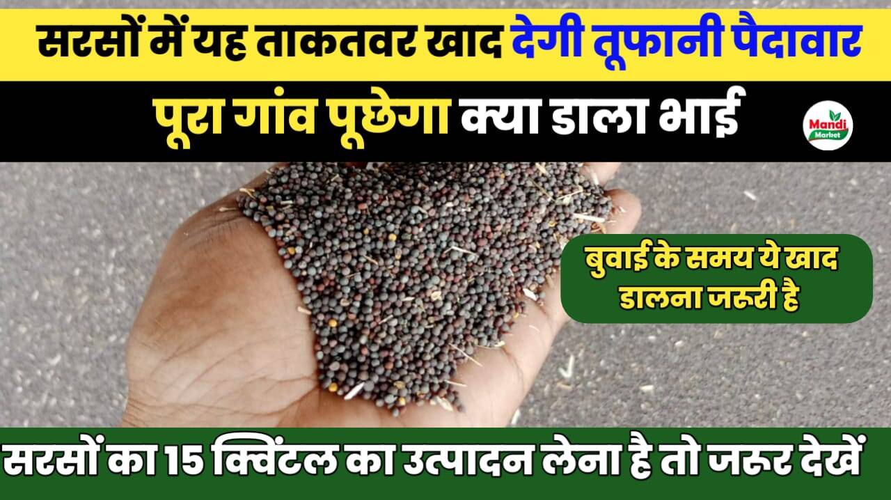 सरसों खाद 