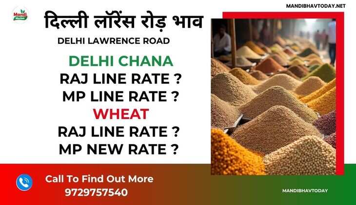 Delhi Lawrence Road market opening rate