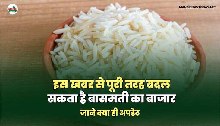 basmati images