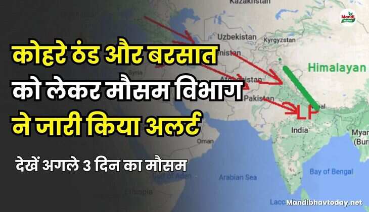 कोहरे ठंड और बरसात को लेकर मौसम विभाग ने जारी किया अलर्ट | देखें अगले 3 दिन का मौसम