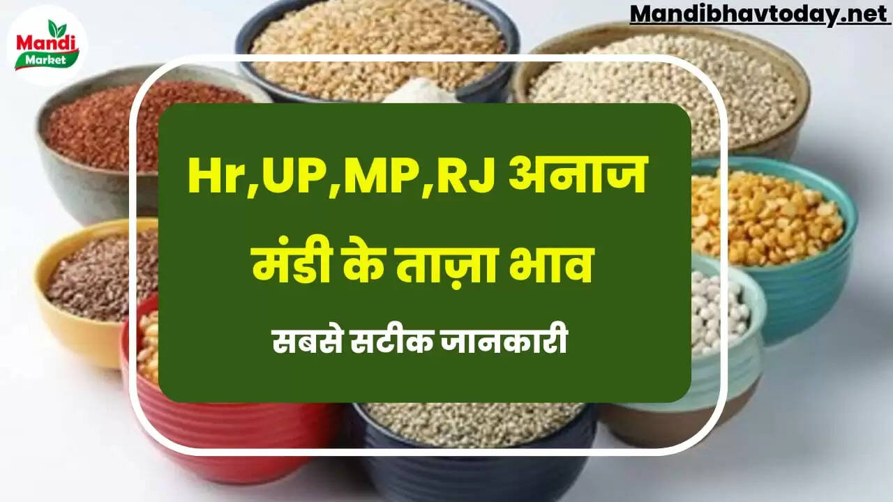 anaj mandi bhav 12 September 2022