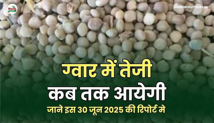 ग्वार images