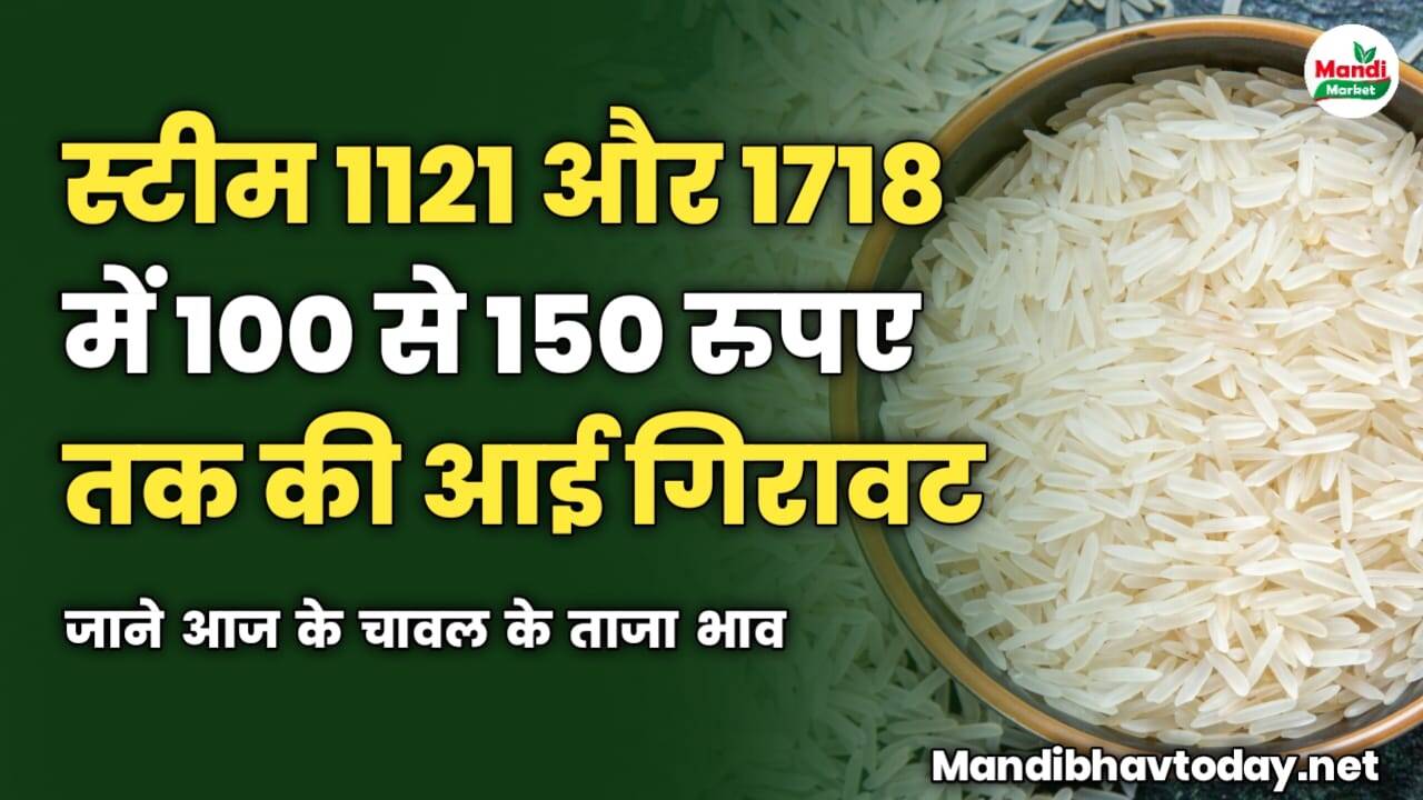 स्टीम 1121 और 1718 में आई 100 से 150 रुपए तक की गिरावट | जाने आज के चावल के ताजा मंडी भाव