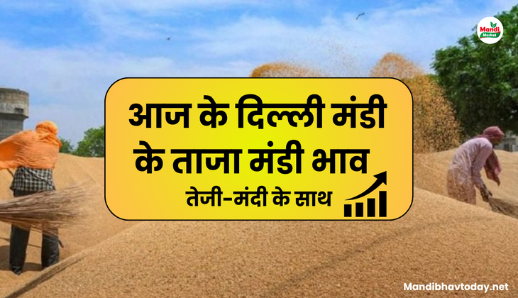 Delhi Lawrence Road market opening rate 