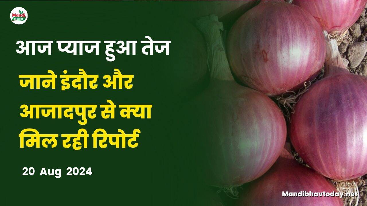 जाने इंदौर और आजादपुर से क्या मिल रही रिपोर्ट