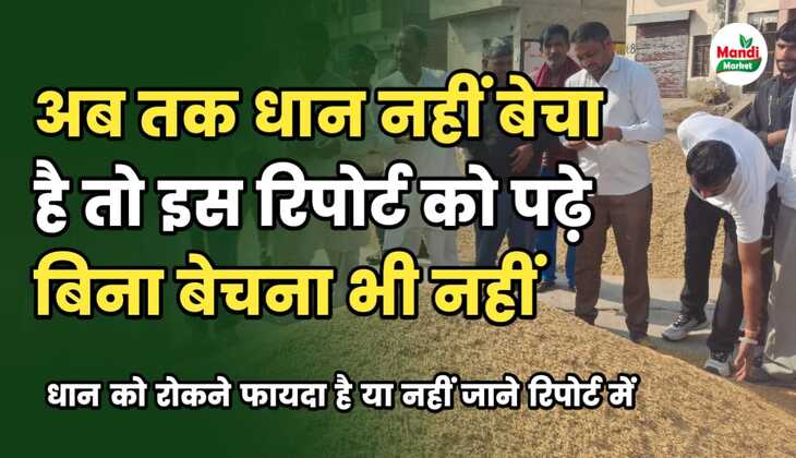 अब तक धान नहीं बेचा है तो इस रिपोर्ट को पढ़े बिना बेचना भी नहीं
