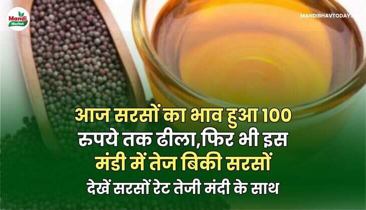 आज सरसों का भाव हुआ 100 रुपये तक ढीला | फिर भी इस मंडी में तेज बिकी सरसों | देखें सरसों रेट तेजी मंदी के साथ