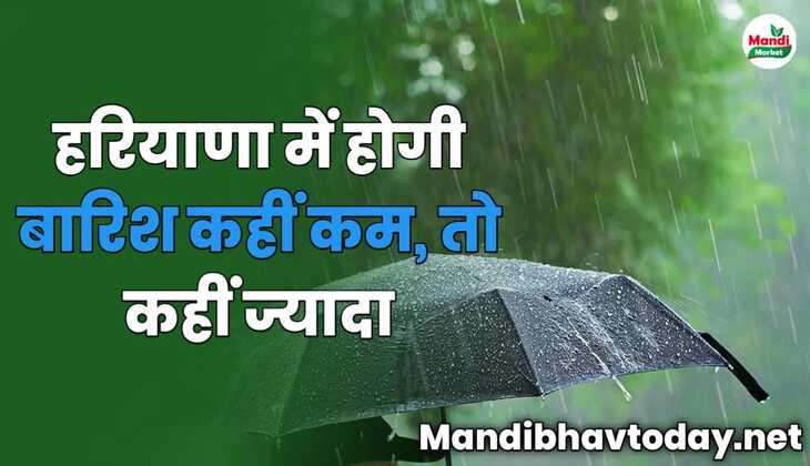 हरियाणा में होगी बारिश कहीं कम, तो कहीं ज्यादा | देखे मोसम रिपोर्ट