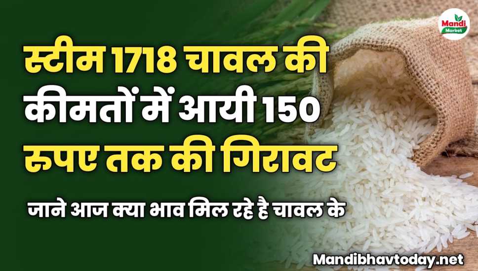 स्टीम 1718 चावल की कीमतों में आयी 150 रुपए तक की गिरावट | जाने आज क्या भाव मिल रहे है चावल के 