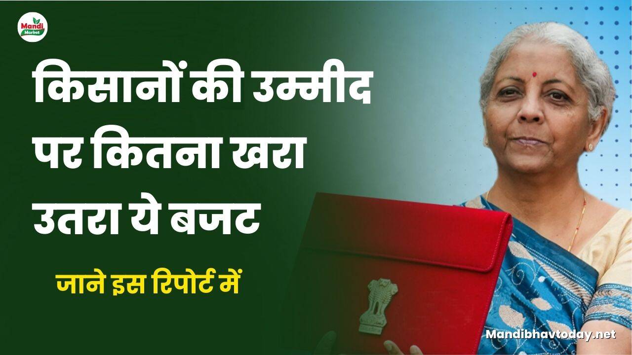 किसानों की उम्मीद पर कितना खरा उतरा ये बजट | जाने इस रिपोर्ट में