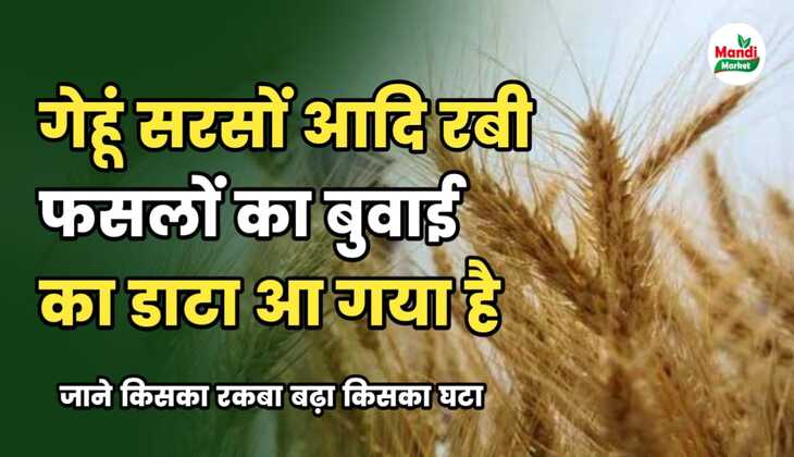 गेहूं, सरसों , चना, जौ आदि की बुवाई का डाटा आ गया है | जाने किसका एरिया बढ़ा किसका घटा | भाव पर इसका असर