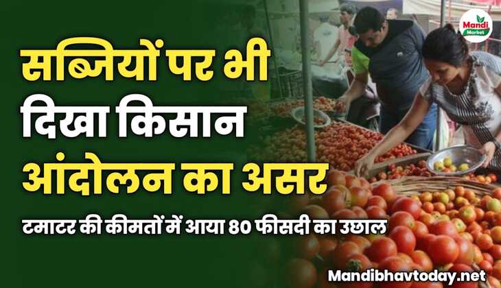 सब्जियों पर भी दिखा किसान आंदोलन का असर | टमाटर की कीमतों में आया 80 फीसदी का उछाल 