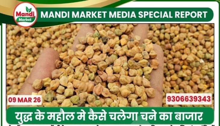 mandibhavtoday